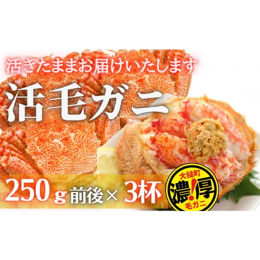 ふるさと納税 岩手県 大槌町 三陸産 三陸活毛ガニ 250g×3杯（3尾）　天然 国産 冷蔵 三陸直送 濃厚 かに 蟹 カニ 毛ガニ 毛蟹 毛が…