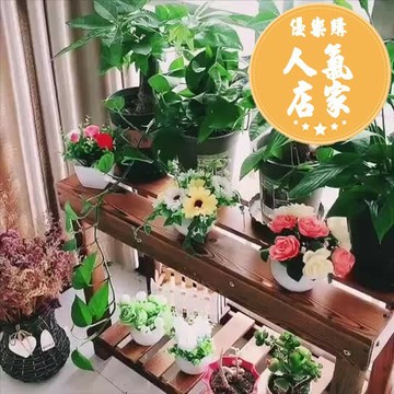 陽台花架 客廳花架花架置物架客廳碳化木花凳陽臺實木多肉花架落地式戶外防腐木花架