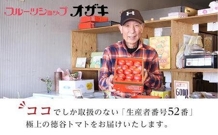 特選徳谷トマト約2kg　生産者52番　フルーツトマト