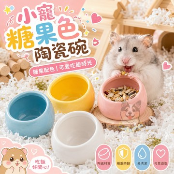 小寵糖果色陶瓷碗🍬 小寵碗 刺蝟碗 鼠碗 倉鼠碗 陶瓷碗 寵物碗 小動物碗 小動物用品 深碗 寵物小碗 小食盆 鼠鼠碗