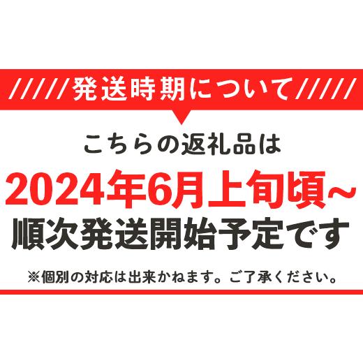 ふるさと納税 茨城県 下妻市 12-25茨城県産大玉すいか1玉（約6〜7kg）