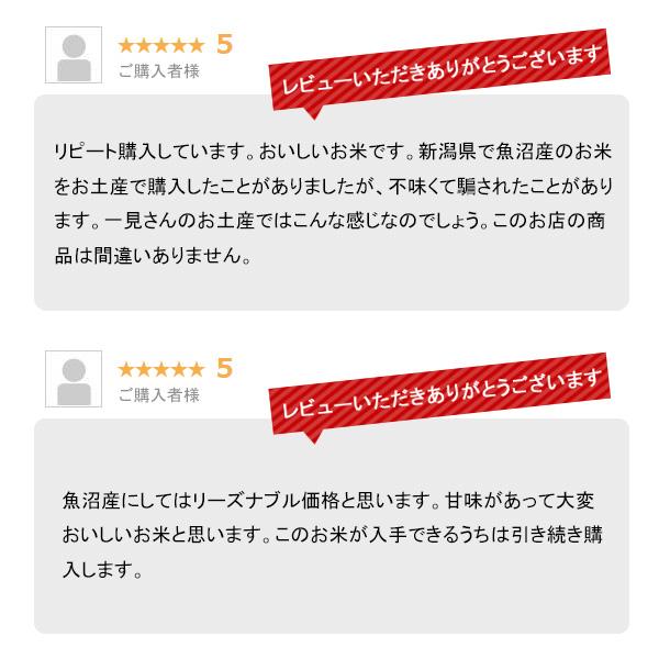 新米 2kg 魚沼産コシヒカリ お米 2キロ 令和5年産 こしひかり 白米 産直 精米