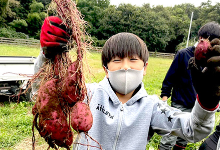 66-07 さつまいも 約20kg S～Lサイズ混合2箱 生芋 紅はるか