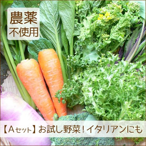 野菜セット 詰め合わせ お試し 農薬不使用 訳あり 不揃い 送料無料