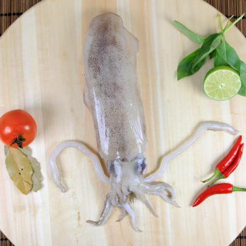 【菲律賓 超鮮活凍軟絲】 川燙 快炒 料理方便 鮮味十足清甜  富含鈣、磷、鐵元素  / 富含 蛋白質、氨基酸、牛黃酸 / SGS檢驗合格   ►健身/上班族推薦人氣單品  火鍋料首選 【觀大上鮮】週一到週五中午前下單 隔日到貨