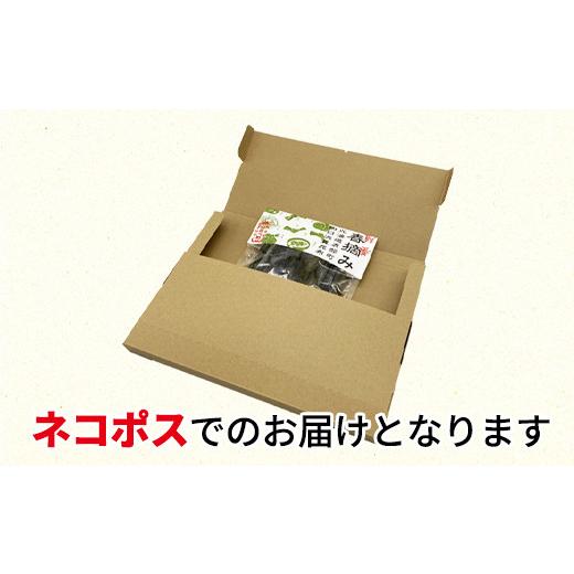 ふるさと納税 北海道 鹿部町 白口浜真昆布 春摘み 50g 真昆布 早摘み