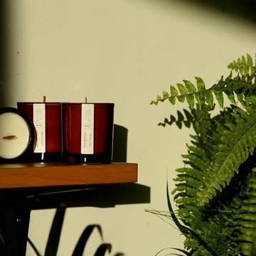 【福利展示品】英國 wxy Amber 木質燭芯蠟燭 (S)