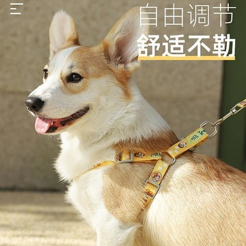 💕在臺出貨🔥狗狗牽引繩遛狗繩小型犬貓咪小狗繩子外出神器網紅鏈子寵物胸揹帶