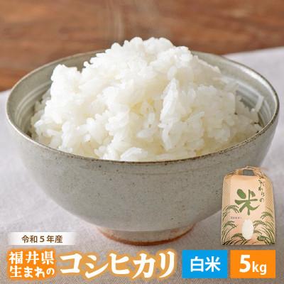 ふるさと納税 越前町 令和5年産　コシヒカリ(精米)　5kg