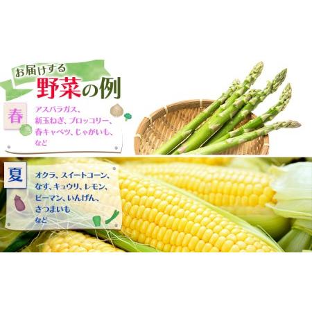 ふるさと納税 諫早産野菜の詰め合わせ(8〜9品目程度) 長崎県諫早市