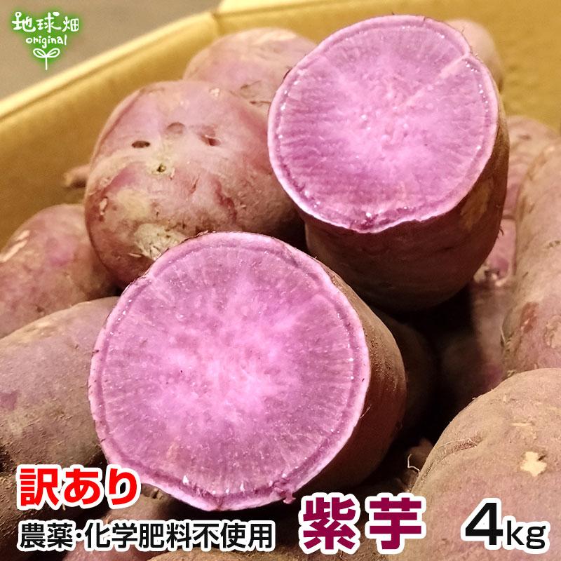 訳あり 紫芋 4kg 農薬・化学肥料不使用 鹿児島県産 訳アリ B品 土付き 紫いも パープルスイートロード むらさきいも さつまいも 発送期間11〜12月