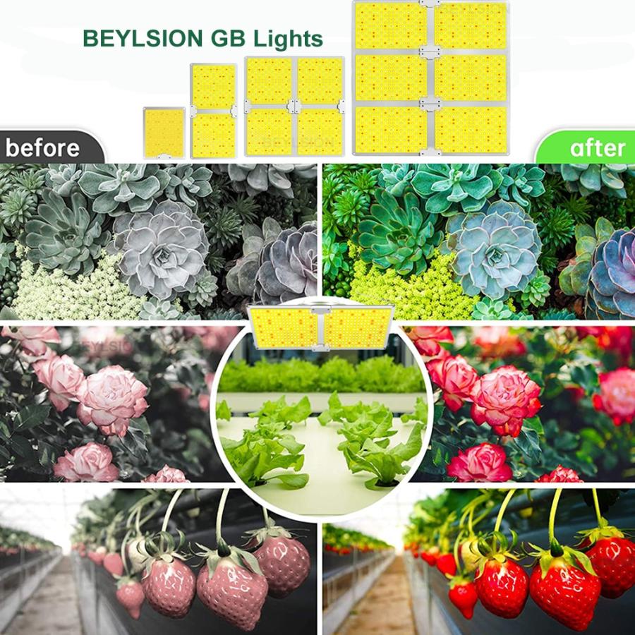 Beylsion-LED温室ライトセット 1000-2000wsc 屋内栽培室照明部品 水耕栽培アクセサリー 100x50x200CM Set