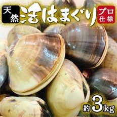 天然はまぐり約3kg (千葉県産)