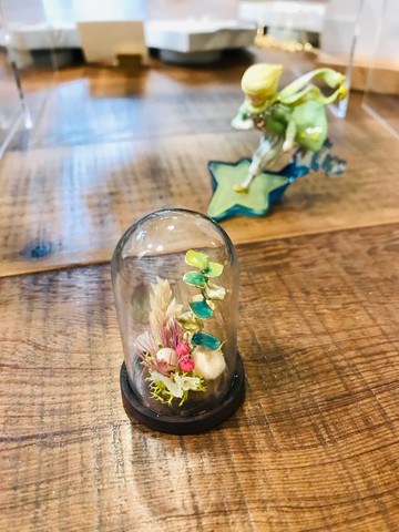 【桌上擺飾】迷你 金工植栽  辦公室 療癒 小物 (尤加利葉 衫樹)