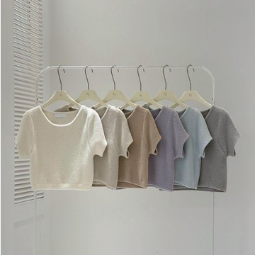 【太妮絲T243】現貨 韓系 軟綿綿短袖上衣 圓領 短版上衣 奶茶色 韓國 莫蘭迪色 基本款 YIFAN