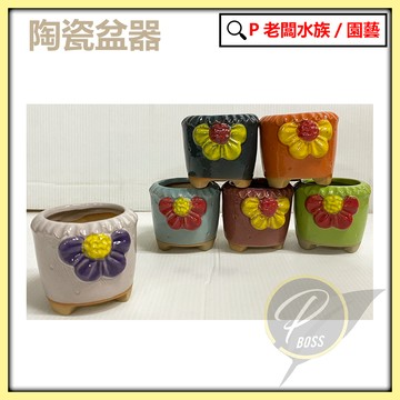 P老闆園藝~陶瓷盆 花盆 盆栽 植栽 多肉植物 室內培栽 陶瓷花器 質感花器