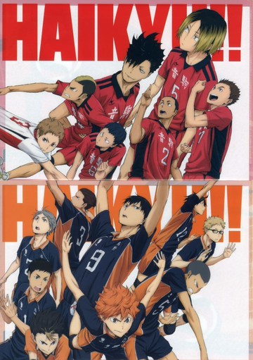 鳥野高中/音駒高中A4透明文件夾SET(2張組)排球少年！結束和開始