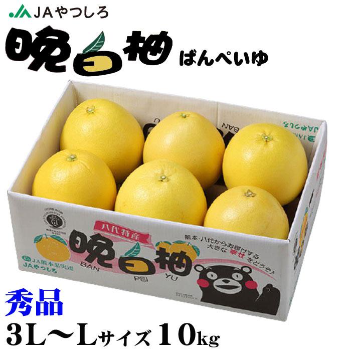 お歳暮 みかん 晩白柚 ばんぺいゆ 秀品 3L〜Lサイズ 10kg 熊本県産 JAやつしろ ミカン 蜜柑 ギフト お取り寄せ