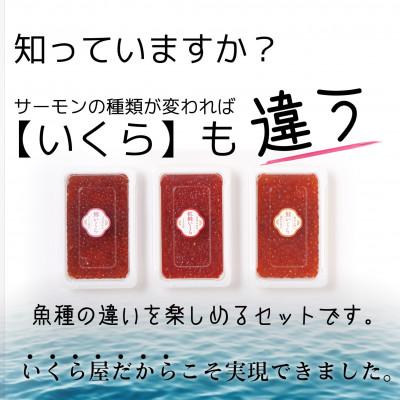 ふるさと納税 八雲町 いくら醤油漬け 合計330g(各110g×1パック)ベニサケ、マス、サケ