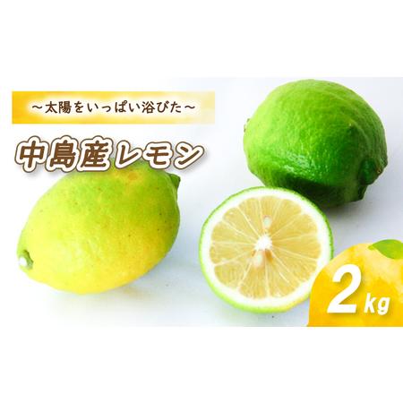 ふるさと納税  レモン 2kg (14-18玉 レモン 檸檬 レモン 柑橘 レモン グリーンレモン レモン 数量限定 レモン 愛媛県産 レ.. 愛媛県松山市