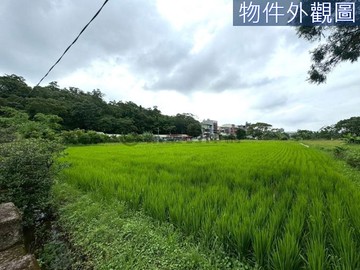 大溪區低單價稀有開心農場方正農地2~｜桃園市大溪區東隆段