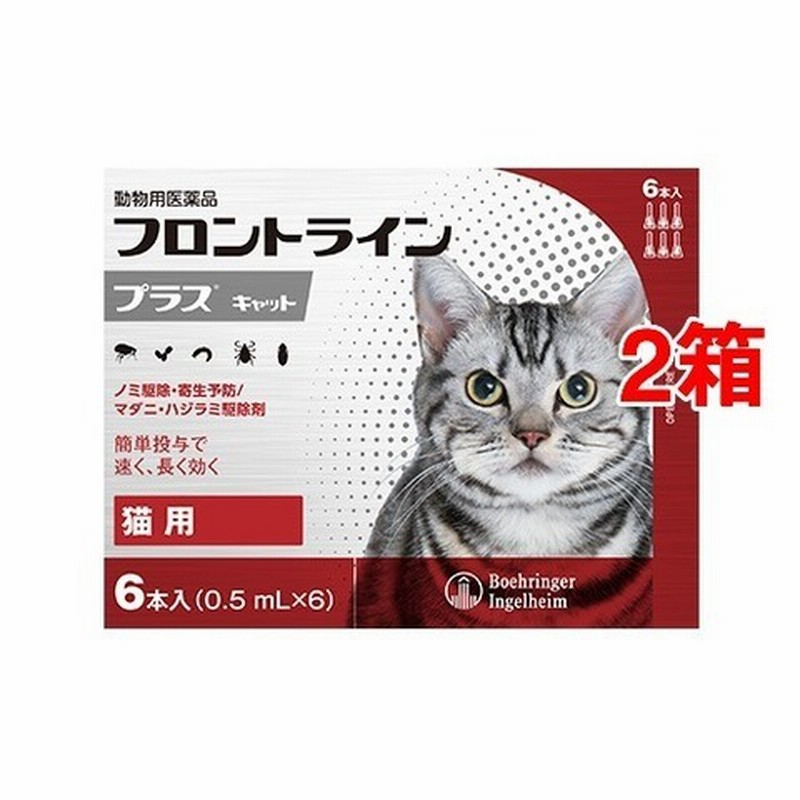 動物用医薬品】フロントラインプラス 猫用 (6本入*2箱セット) 通販 LINEポイント最大1.0%GET | LINEショッピング 動物用医薬品】フロントラインプラス 猫用 (6本入*2箱セット) 通販 LINEポイント最大1.0%GET | LINEショッピング
