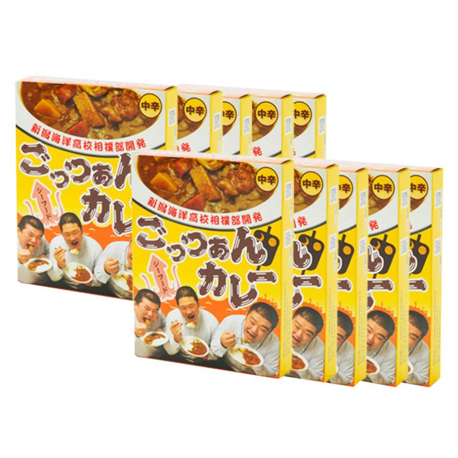 ごっつぁんカレー シーフード 中辛 10箱セット レトルトカレー 惣菜 具だくさん カレー シーフードカレー レトルト