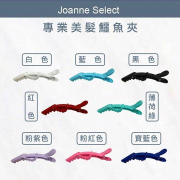 ｜Joanne’s｜沙龍款 鱷魚夾 恐龍夾 怪獸夾 美髮夾 止滑 防滑 髮夾 髮飾