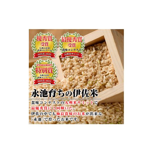 ふるさと納税 鹿児島県 伊佐市 isa400 令和5年産 新米 特別栽培米 永池ひのひかり玄米(5kg) 