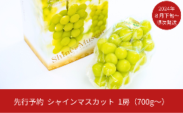 先行予約 シャインマスカット 1房(700g以上) [2024年発送予定] 新潟県産 種なし ぶどう マスカット [JAえちご中越]