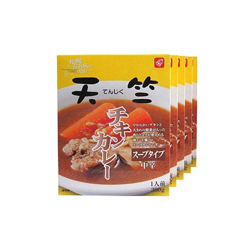 カレー レトルトカレー 北海道 札幌 天竺チキンカレー 中辛 5食 セット 300g 南インド風 スープカレー