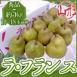 山形産 ”ラフランス” 秀品 10～18玉前後 約5kg 産地箱 ラ・フランス 洋梨 送料無料