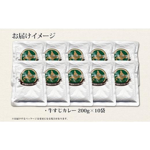 ふるさと納税 北海道 弟子屈町 779.牛すじカレー 10個 中辛 じゃがいも 牛 牛肉 肉 業務用 レトルトカレー 保存食 備蓄 まとめ買い 20000円 北海道 弟子屈町