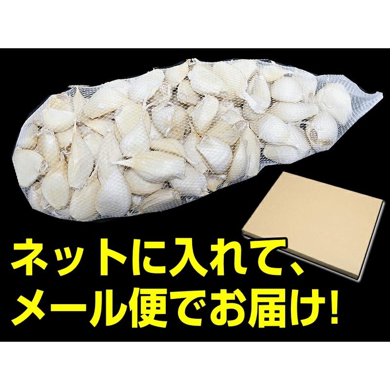 にんにく 青森産 福地ホワイト六片種 バラ 500ｇ 送料無料 訳あり 青森にんにく お料理に 大小混合 ブランド品種 b01