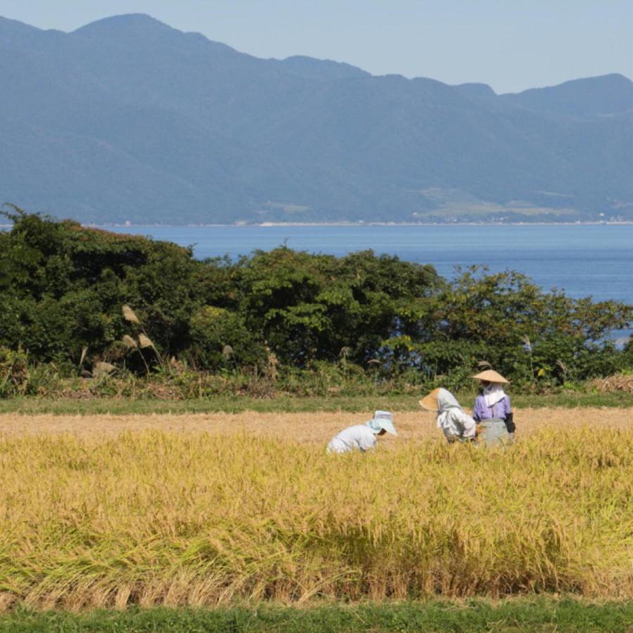 新米 米 お米 10kg こしいぶき 佐渡産 5kg×2袋 本州送料無料 令和5年産