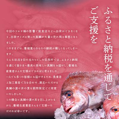 ふるさと納税 芸西村 高知の海鮮丼の素「真鯛の漬け」1食80g×10Pセット