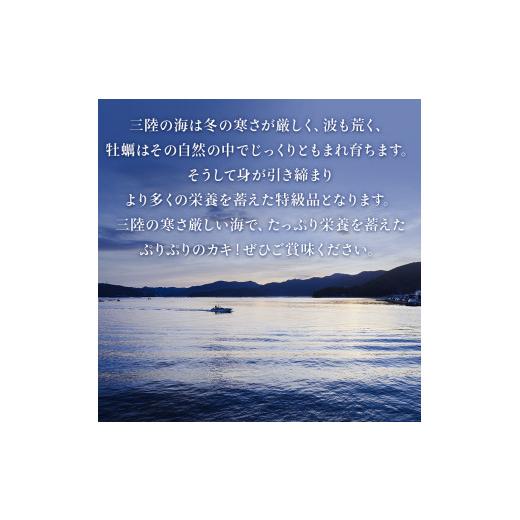 ふるさと納税 宮城県 石巻市 牡蠣むき身500gと殻付き牡蠣6個のお楽しみセット