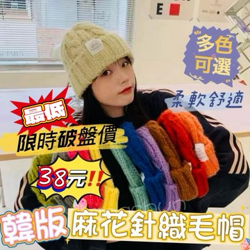 《台灣現貨 開發票免運》限時回饋特賣！秋冬必備 韓版麻花針織帽 針織帽 顯臉小 情侶帽 毛帽親子帽 男女毛帽 防寒帽