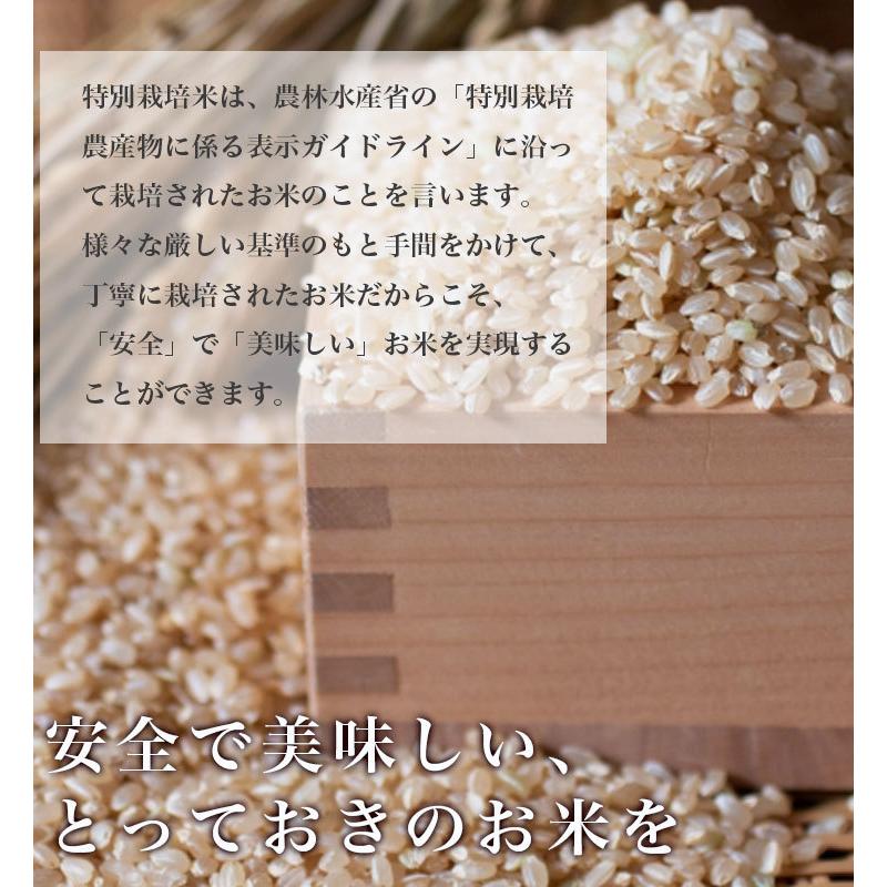 玄米 送料無料  令和5年産 新米 北海道米 安心 安全 特別栽培米 お米 当麻  とっときスーパー （特別栽培 あやひめ 100％）5kg 米 ギフト 祝い 贈り物