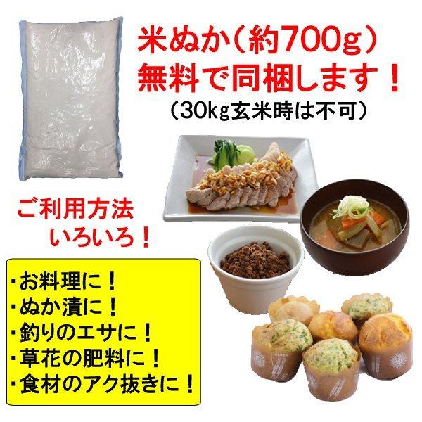 新米 30kg 送料無料 富山県 つきあかり 2等玄米 クーポンで500円引き