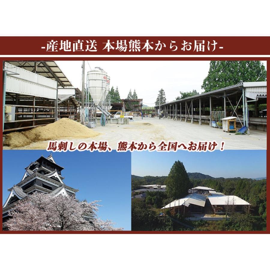 馬刺し 赤身 霜降り たてがみ 熊本 国産 ３種食べ比べセット 約5人前 250g 馬刺 馬肉 お中元 お歳暮  ギフト プレゼント 贈り物 贈答 おつまみ