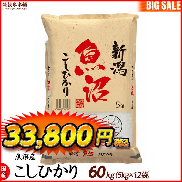 魚沼産 コシヒカリ 60kg(5kg×12袋) 精白米 国産 令和4年産 国産コシヒカリ100％ 送料無料 精米工場からの直送品 ＼セール／