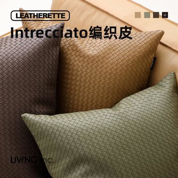 LIVING inc.編織皮革 輕奢樣板間抱枕沙發客廳靠墊現代簡約春夏季