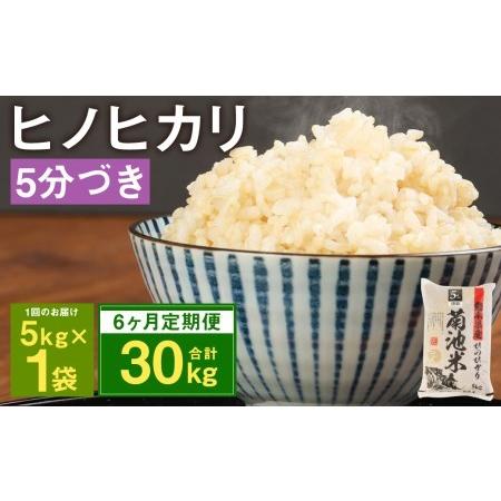 ふるさと納税 熊本県菊池産 ヒノヒカリ 5kg×6回 計30kg 5分づき米 お米 分づき米  熊本県菊池市