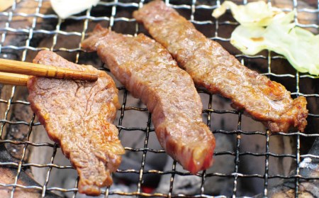 肉 牛肉 牛 鶏肉 小分け 味 焼き肉 焼肉   牛タレ仕込味付焼肉 300g×2パック鶏味付焼肉 塩だれ味 400g×3パック 牛鶏合計1.8kgの焼肉セット