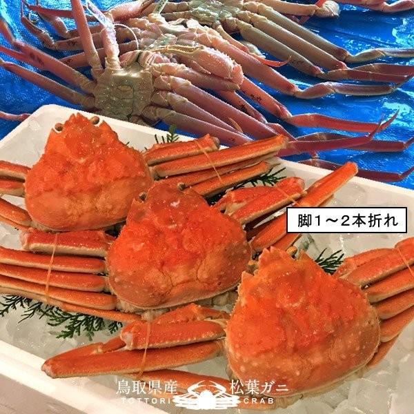 松葉ガニ 松葉蟹 訳あり［B中小］400g×3尾 ゆで蟹 ボイルまつばがに 足折れ 新物 鳥取県産 浜茹で マツバガニ ズワイガニ［お歳暮 2023 ギフト 御歳暮］