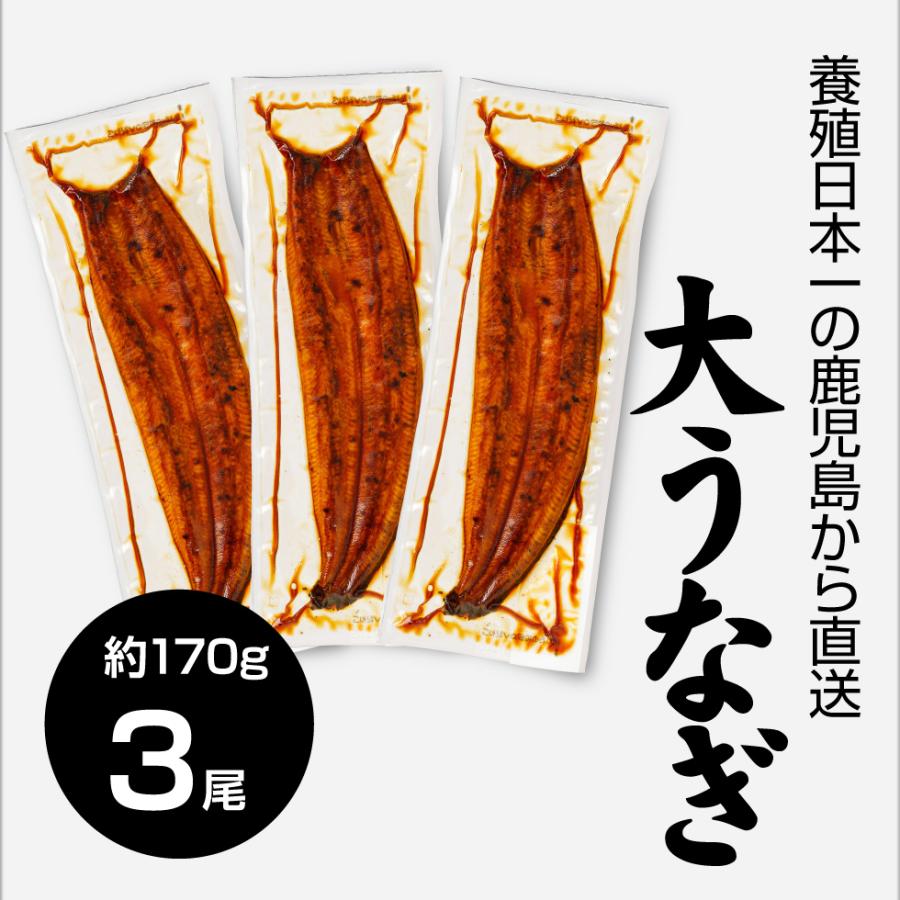 お歳暮 うなぎ 国産 蒲焼き ギフト 鰻 鹿児島 産 大サイズ 170g 3尾 セット お取り寄せ 送料無料 ウナギ 蒲焼 冷凍 うなぎの蒲焼 御歳暮 土用の丑の日 unagi