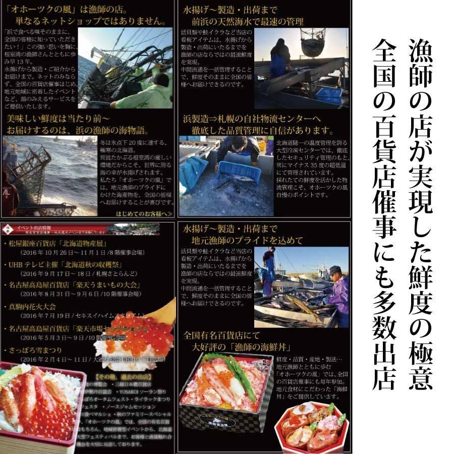 シマエビ Lサイズ 500g ×2パック 計1kg しまえび 特選 北海シマエビ しま海老 北海道 エビ えび 父の日