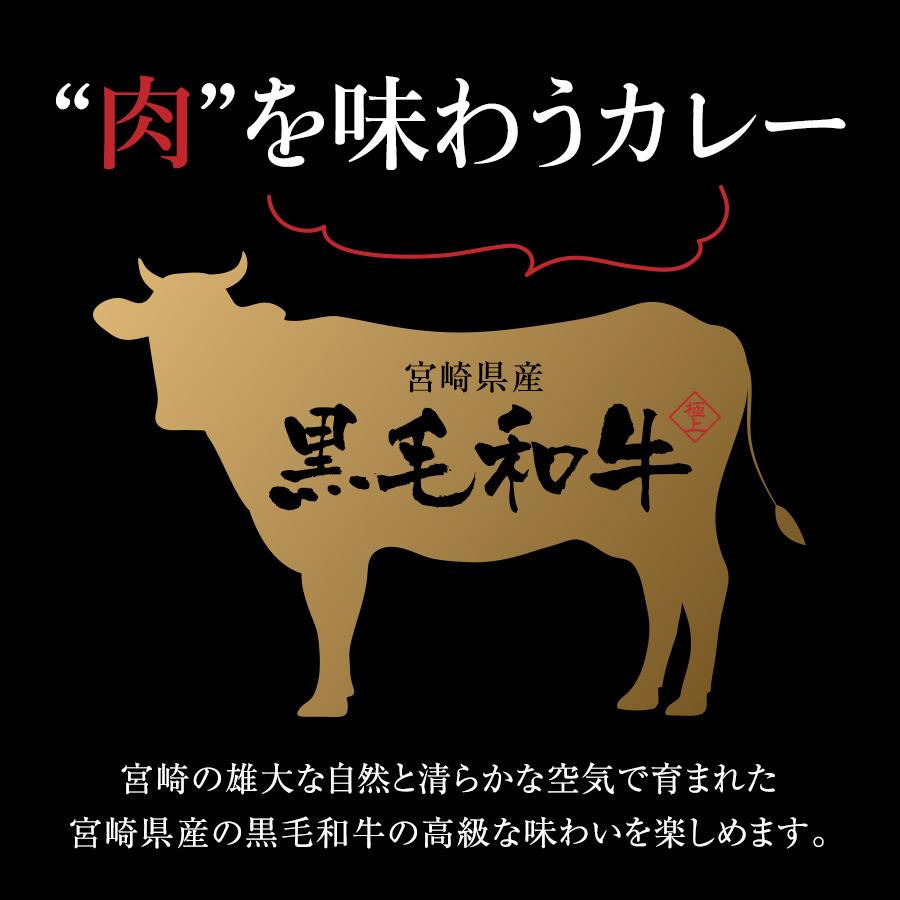 送料無料 宮崎県産黒毛和牛カレー 160g×2個 お手軽便