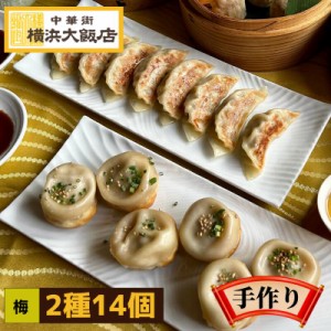 横浜大飯店 点心セット 梅 送料無料 お買い得 点心セット 飲茶 焼小籠包 焼餃子 福袋  中華街 総菜 中華 お土産 グルメ お取り寄せ 横浜